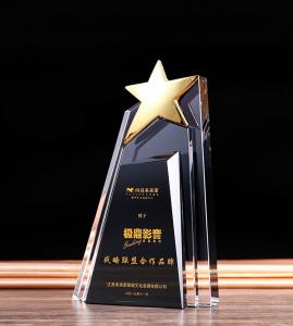 kỷ niệm chương pha lê 204